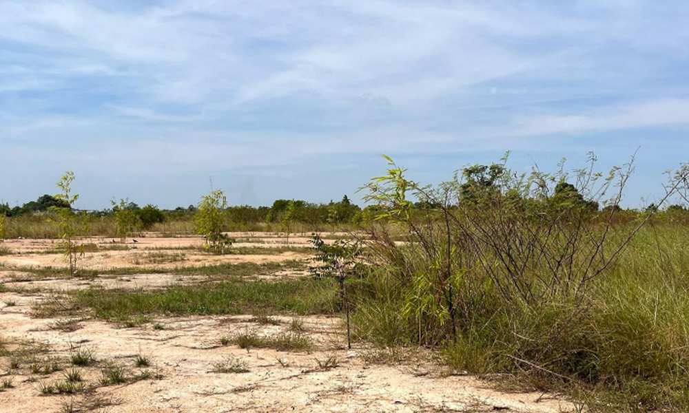 EP0301 | Land for Sale in Takhian Tia, East Pattaya