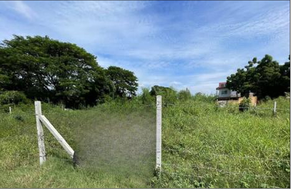 EP0141 | 1-Rai Land Plot for Sale in Jomtien, Pattaya